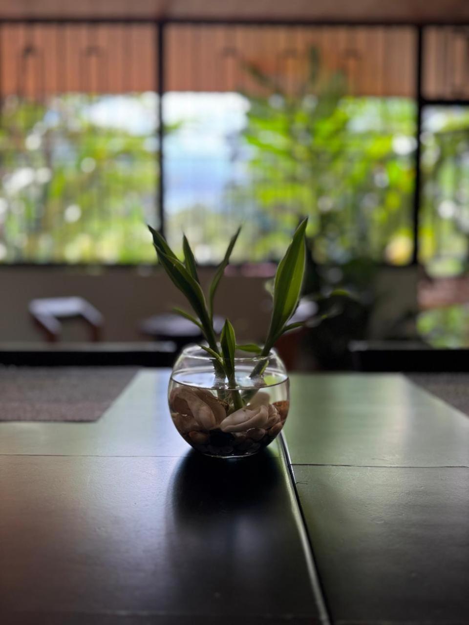 Cerro Chato'S House La Fortuna 외부 사진